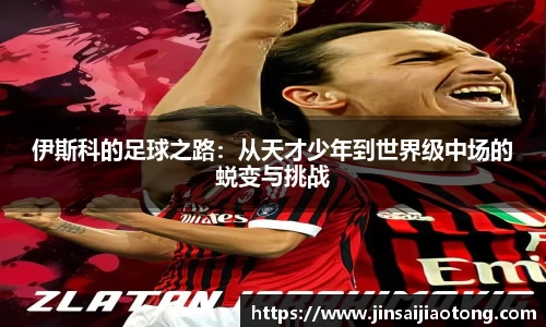 im电竞·电子竞技平台