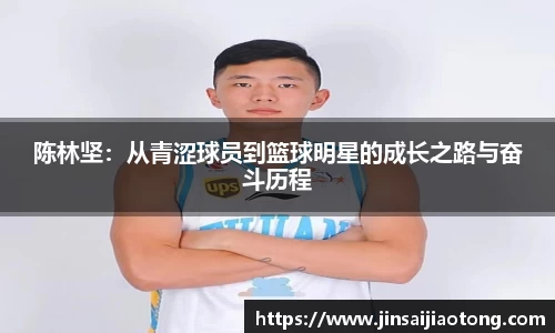 im电竞平台官网